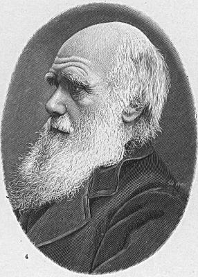 Ficción subtitulada sobre  las  vicisitudes de Charles Darwin al escribir "El origen de las especies"